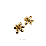 Dinora Earings